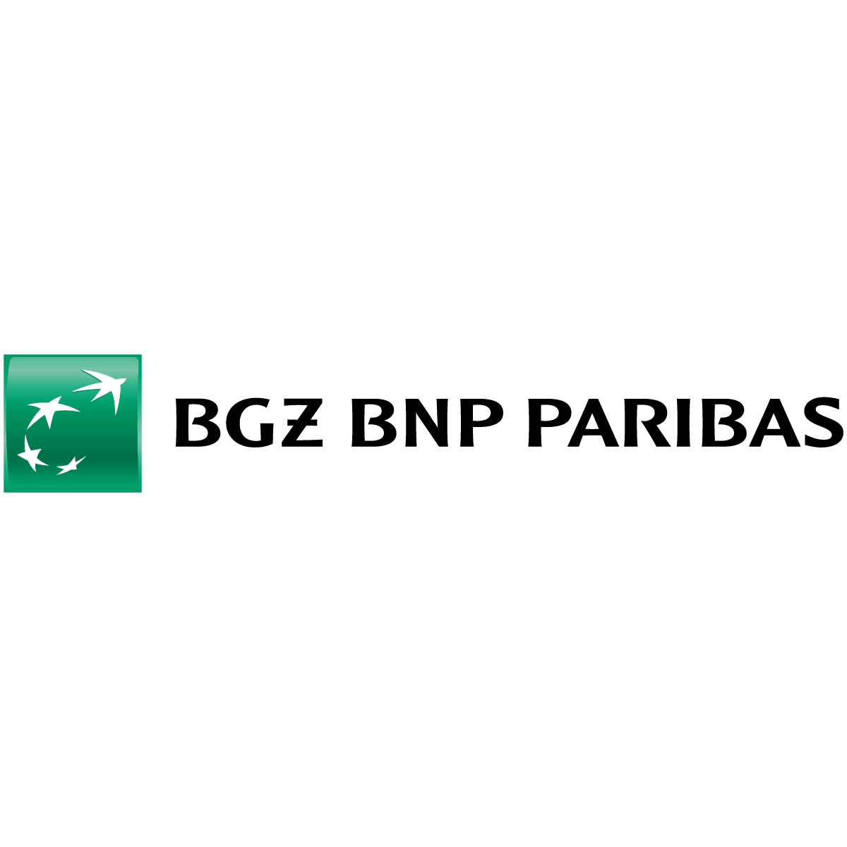 SUPPORTING PARTNER